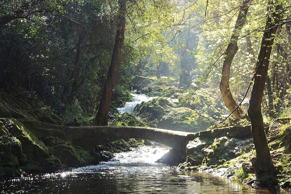 Small stone bridge over the Brague, on the mountain-bike route