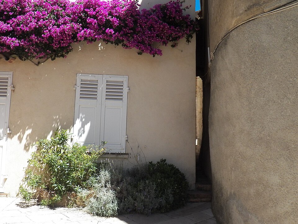 Ruelle fleurie du village de Gassin