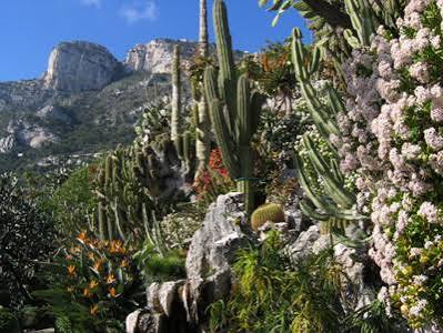 Jardin exotique de Monaco