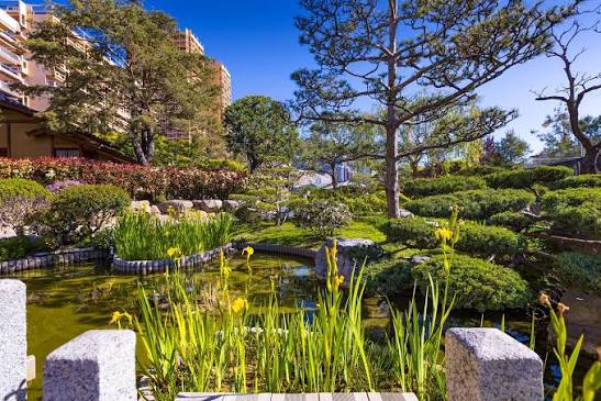 Jardin exotique de Monaco à flanc de falaise