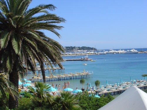 Pinède Gould en bord de mer à Juan-les-Pins