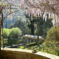 Terraced pools and rare plants of Jardin Serre de la Madone